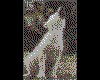 IMG051.GIF.cst.iff