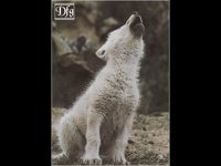 IMG051.GIF