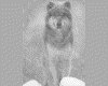 IMG048.GIF.gst.iff