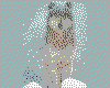IMG048.GIF.cst.iff