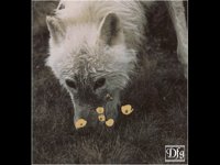 IMG047.GIF
