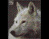IMG045.GIF.cst.iff