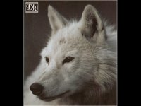 IMG045.GIF