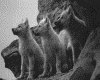 IMG044.GIF.gst.iff