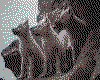 IMG044.GIF.cst.iff
