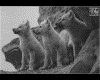 IMG041.GIF.gst.iff