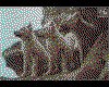 IMG041.GIF.cst.iff