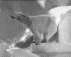 IMG040.GIF.gst.iff