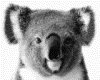 IMG035.GIF.gst.iff