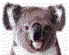 IMG035.GIF.cst.iff