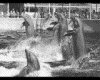 IMG034.GIF.gst.iff