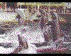IMG034.GIF.cst.iff