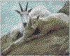 IMG031.GIF.cst.iff