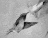 IMG028.GIF.gst.iff