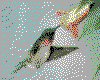 IMG028.GIF.cst.iff
