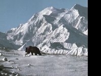 IMG027.GIF