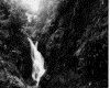 IMG026.GIF.gst.iff