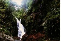IMG026.GIF