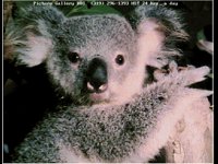IMG024.GIF