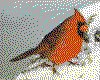 IMG020.GIF.cst.iff