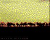 IMG016.GIF.cst.iff