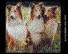 IMG015.GIF.cst.iff