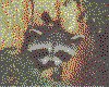 IMG014.GIF.cst.iff