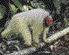 IMG010.GIF.cst.iff