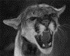 IMG008.GIF.gst.iff