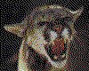 IMG008.GIF.cst.iff