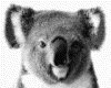 IMG007.GIF.gst.iff