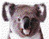 IMG007.GIF.cst.iff