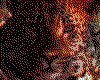 IMG006.GIF.cst.iff