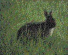 IMG004.GIF.cst.iff