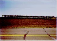 IMG001.GIF