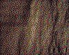IMG079.IFF.cst.iff