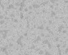 IMG050.IFF.gst.iff