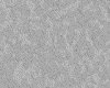 IMG048.IFF.gst.iff