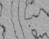 IMG044.IFF.gst.iff