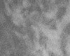 IMG043.IFF.gst.iff