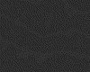 IMG029.IFF.gst.iff