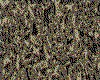 IMG026.IFF.cst.iff