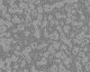 IMG021.IFF.gst.iff