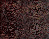 IMG005.IFF.cst.iff