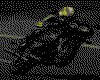 IMG019.GIF.cst.iff