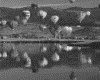 IMG015.GIF.gst.iff