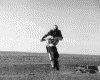 IMG013.GIF.gst.iff