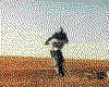 IMG013.GIF.cst.iff