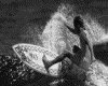 IMG008.GIF.gst.iff