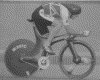 IMG006.GIF.gst.iff